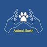 Animal Earth