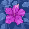 Heatlh Beauty