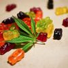 Minnesota CBD Gummies