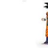 Profile Dragon Ball : Super Hero