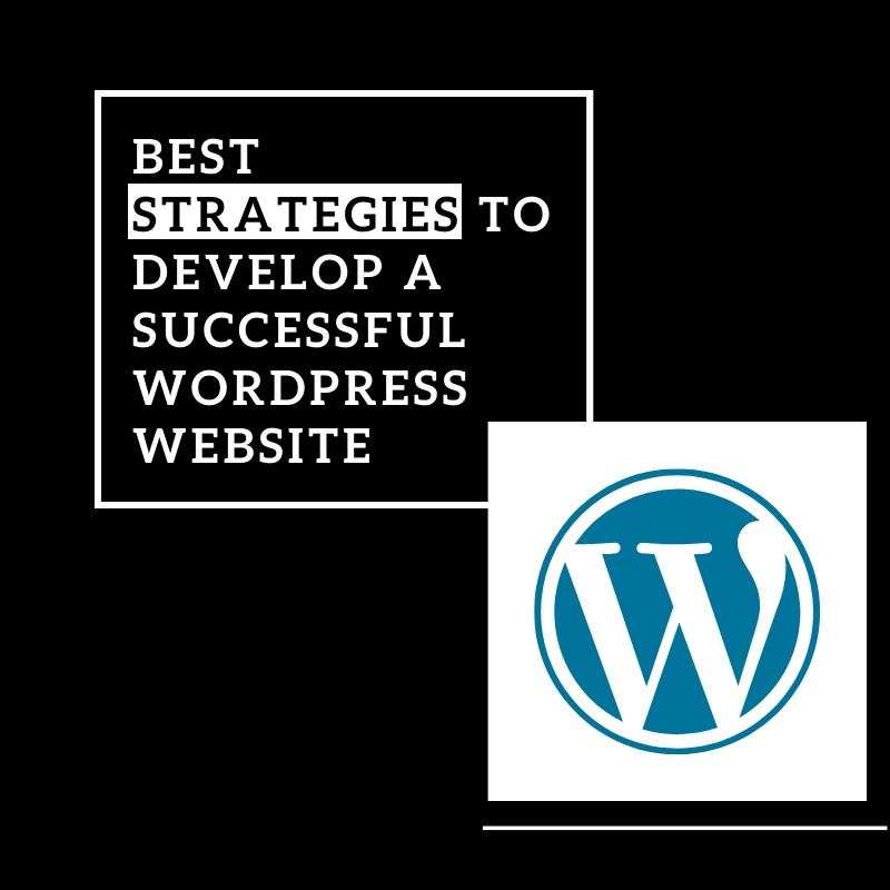 Tips and Strategies to Develop A Successful WordPress Website