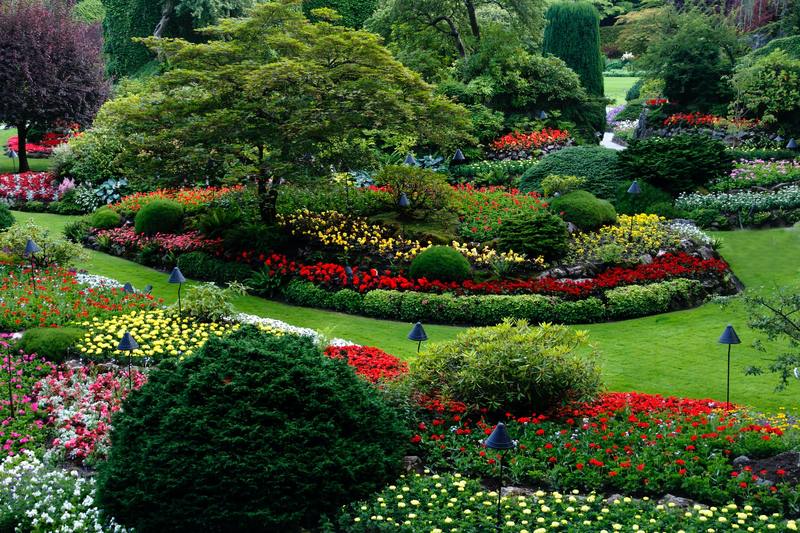 Make Your Garden Look Beautiful With These Great Landscaping Ideas!
