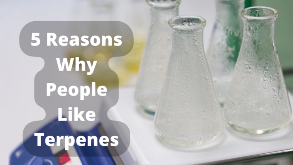 5 Reasons Why People Like Terpenes
