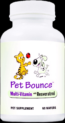 Natural JOINT PAIN RELIEF FOR YOUR PET CAT N DOG