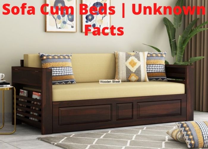 Let us Know about Sofa Cum Beds | Unknown Facts