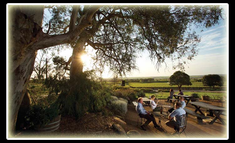 Boutique Wines And Cellar Door Tastings In The Barossa Valley
