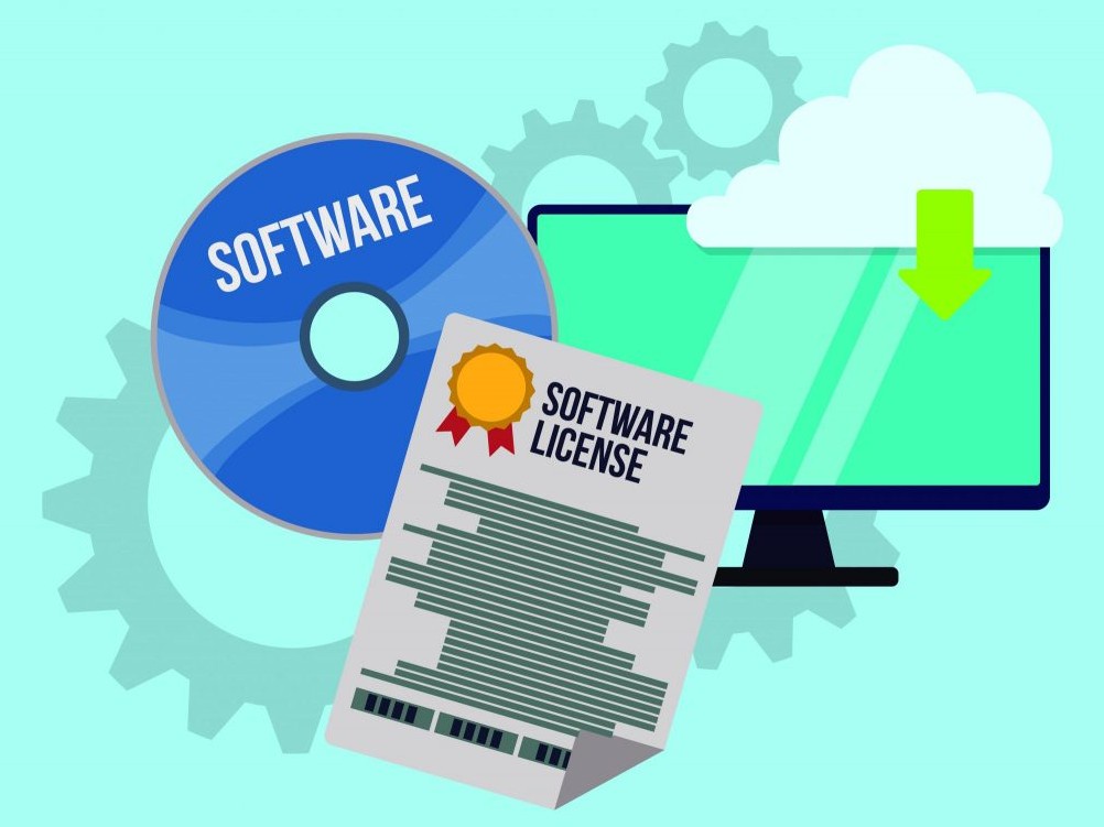 What are the different types of Software Licenses?