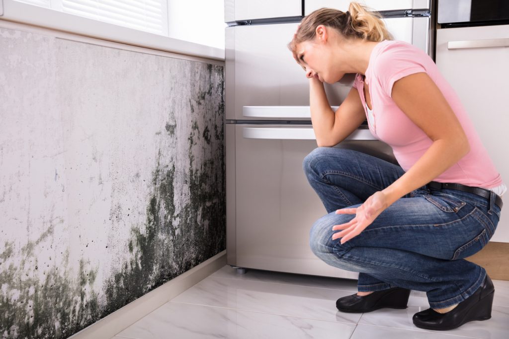 Mold Removal - Finding And Eliminating The Source Of The Problem