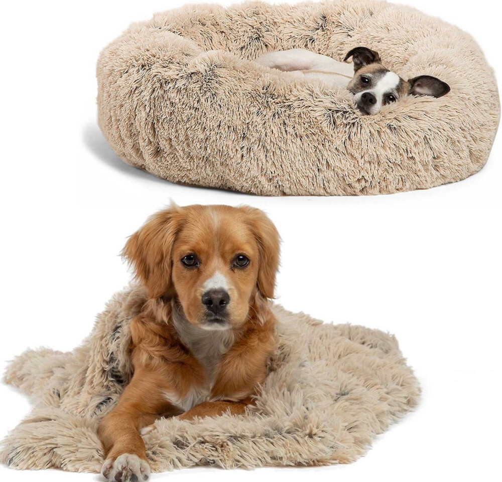 10 Most Impressive Personalized Pets Gifts