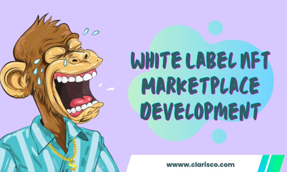 Why Would A Company Develop A White Label NFT Marketplace