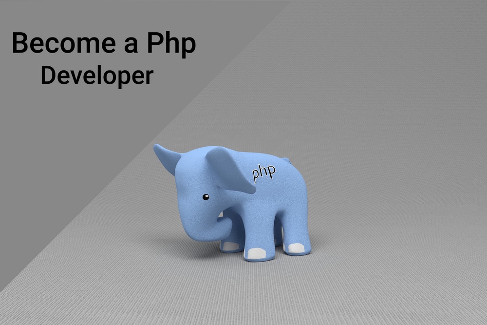 How to Become a Professional Php Developer