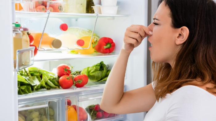 Solutions for Your Refrigerator Problems