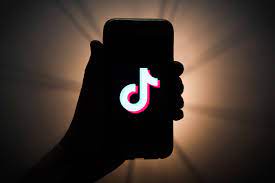 What Is TikToK, And Why Is It Important For User To Increase Their Follower On This Platform?