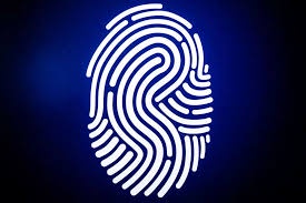 What types of Fingerprints exist and what differences exist