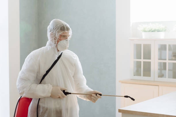 How to Rid Your Home of Pests in Just a Few Days!