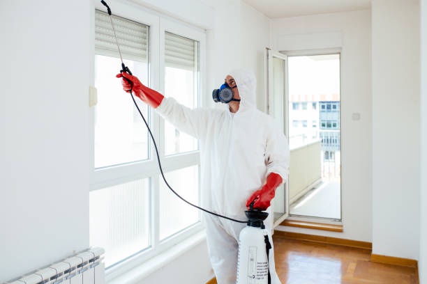 How to Keep Your Home Safe from Pests
