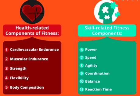 What is the primary difference between health-related and skill-related fitness?