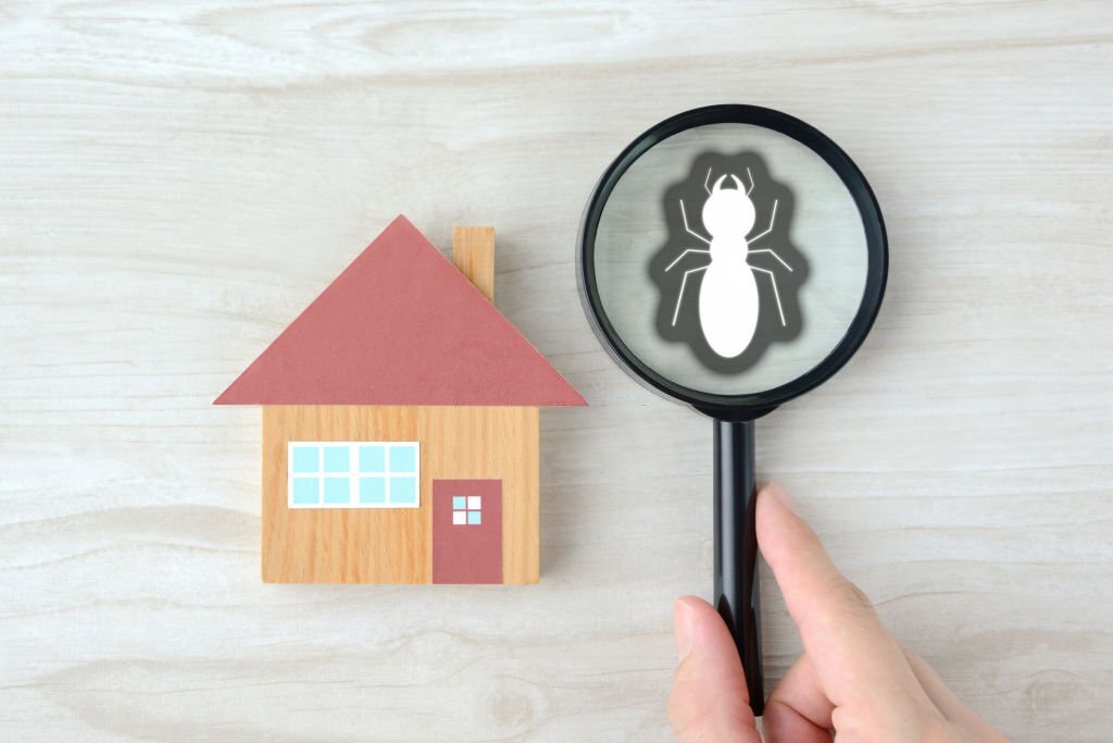 Does home insurance cover pest control