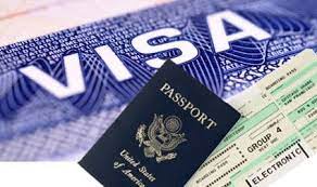 What Is A Visa Consultant and Why Might You Need One?
