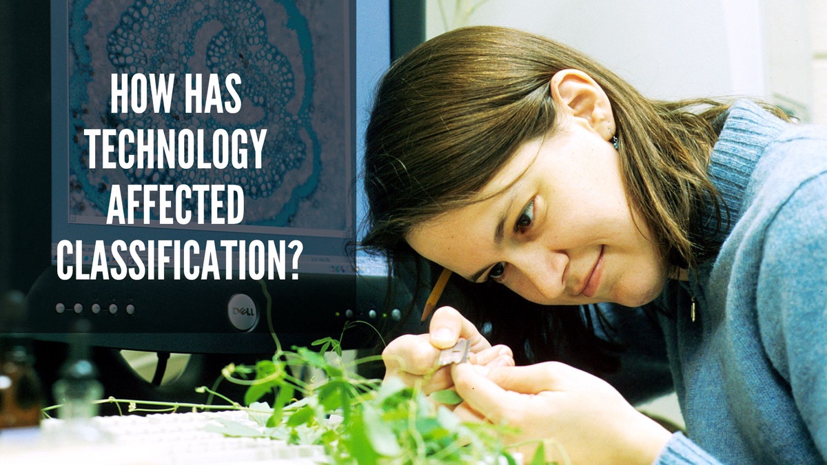 How has technology affected classification?