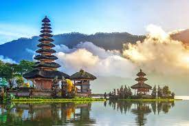 Business Opportunities in Bali with small capital