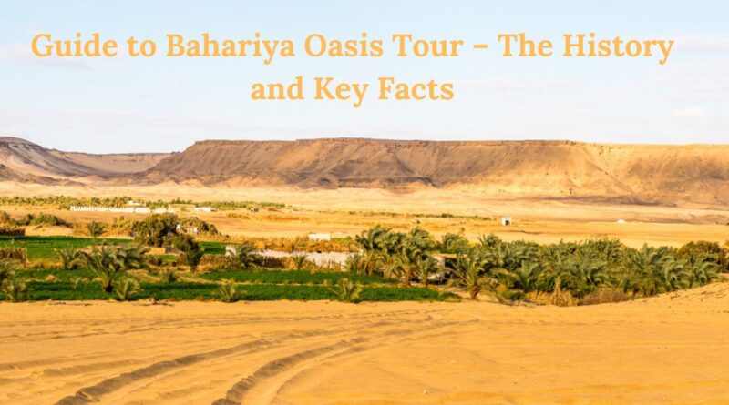 Guide to Bahariya Oasis Tour – The History and Key Facts