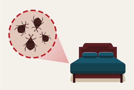 Why Do People Prefer to Use Bed Bug Treatment Products?