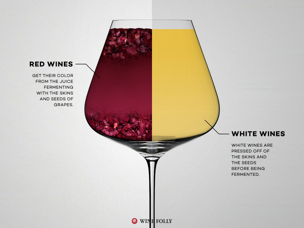 Red vs White wine Complete History