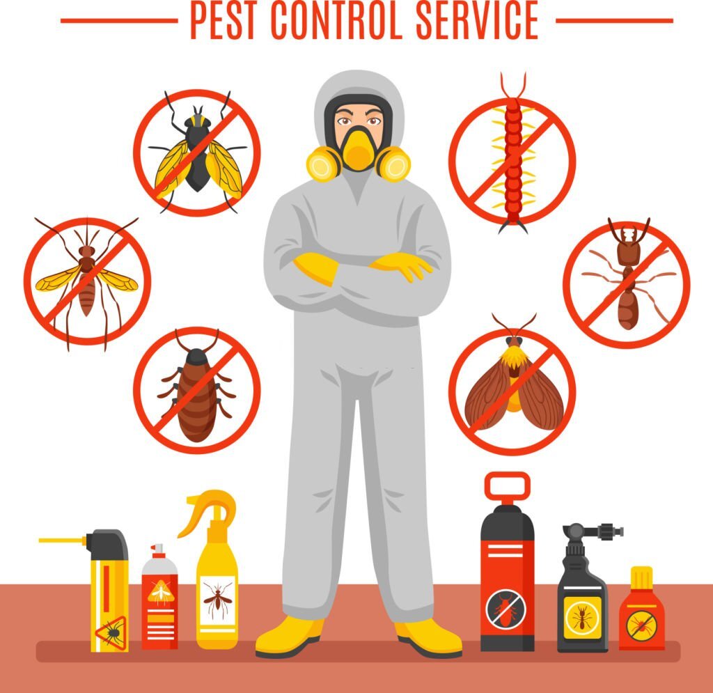 How to Prevent Pest Infestation in kitchen and when to call affordable quality pest control