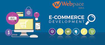 Selected an ecommerce website design company in India