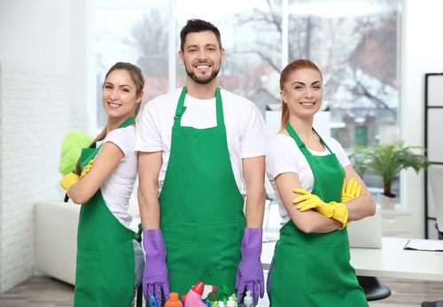 Professional Spring Cleaning Services