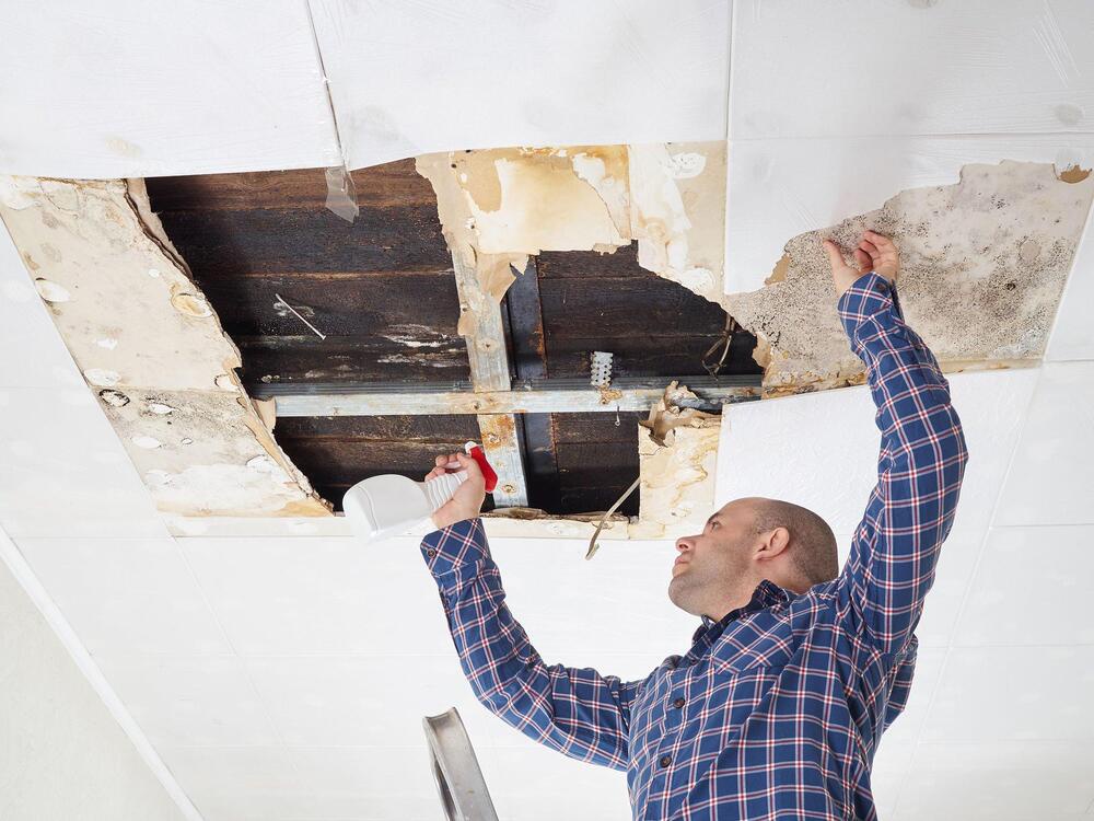 7 Steps to Take After You've Discovered Mold in Your Home