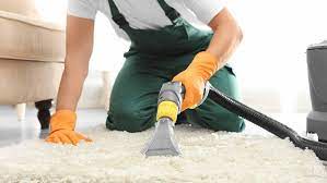3 Important Reasons to Hire a Professional Carpet Cleaning Services