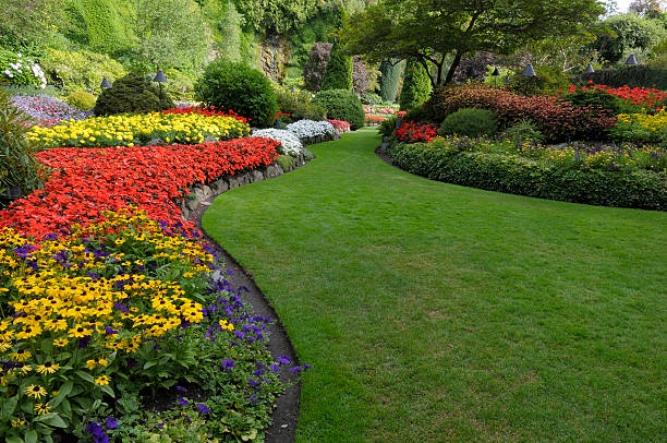 The Best Landscapers near You in Melbourne: a Guide to Finding the Perfect Garden Service