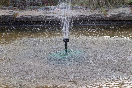 Why Should You Invest in an Outdoor Pond Pump?