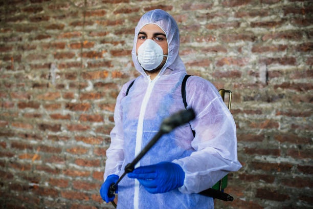 How to Control Pests and Disease in Your Home