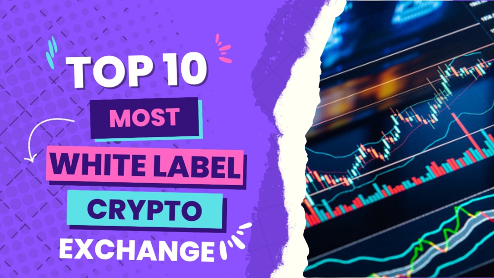 Top 10 white label crypto exchange clone scripts in 2022