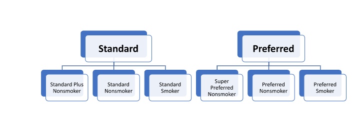 Standard vs Preferred Life Insurance Rates