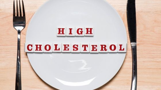 Reasons to Avoid High Cholesterol Food to Stay Healthy