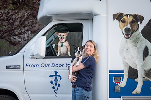 What Services Do Mobile Pet Vets Offer?