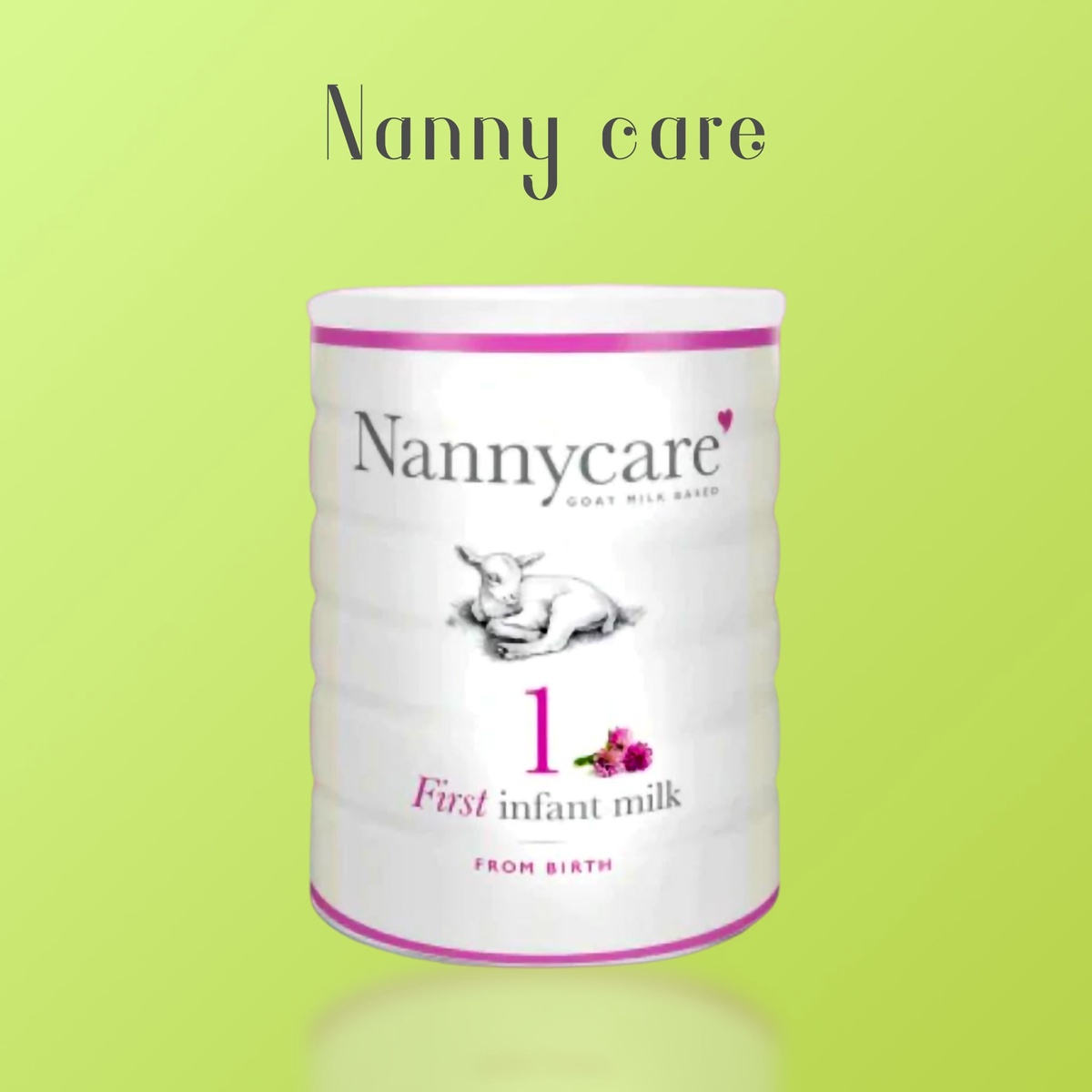 What Is Nanny Care Formula Canada?