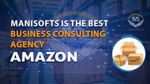 How Do I Choose An Amazon Consultant?