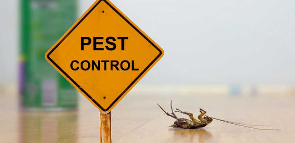 How To Choose The Right Pest Control Company For Your Home