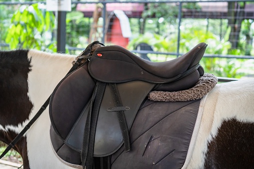 Happy Hunting with High-End Horse Tack