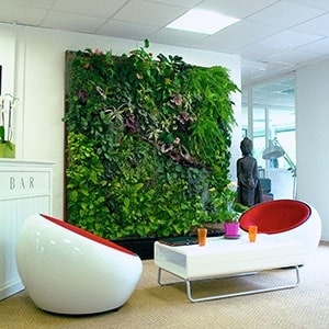 Maintenance Of A Green Wall In Toronto