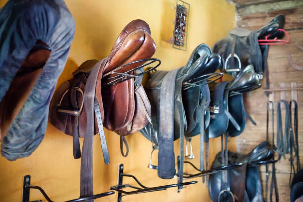 Know About the best Canadian Tack Stores