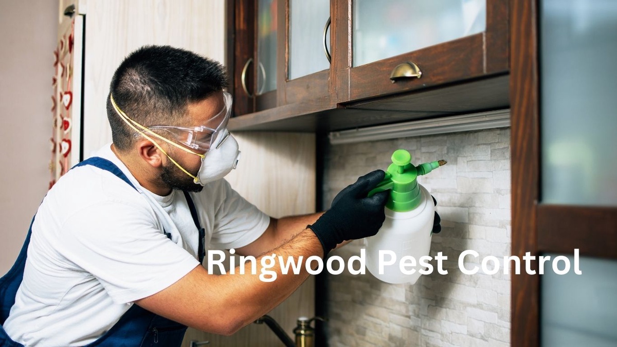 How Home Pest Control Methods Have Changed Over The Years