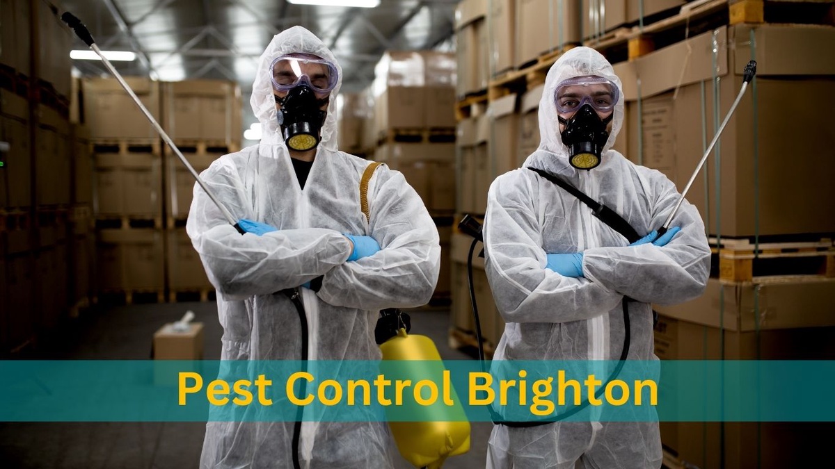 The Ultimate Pest Control Guide: How To Keep Unwanted Invaders Out Of Your Home