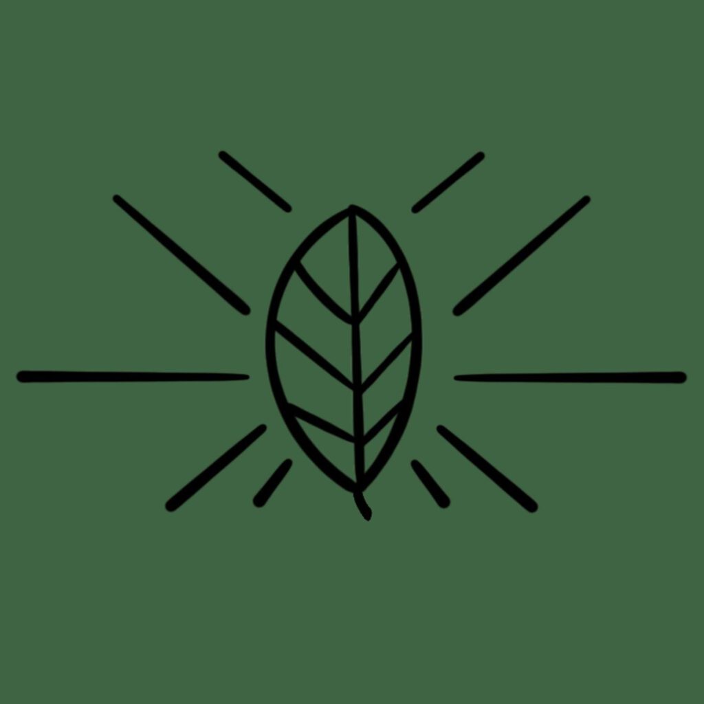 Digital Marketing Agency Portland