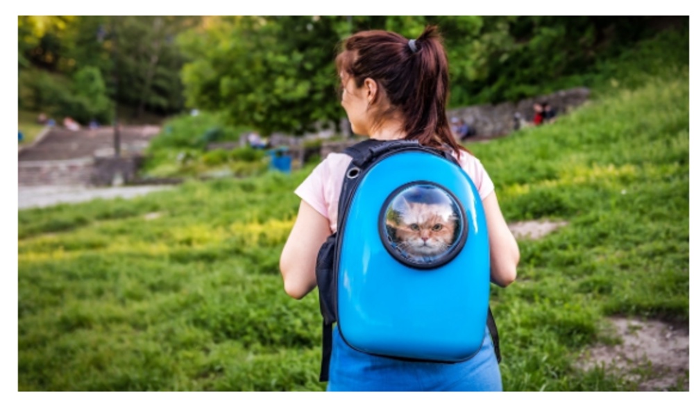 CAT BACKPACKS: A Practical and Adorable Way to Transport Your Furry Friend"